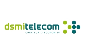 logo-dsmi-telecom